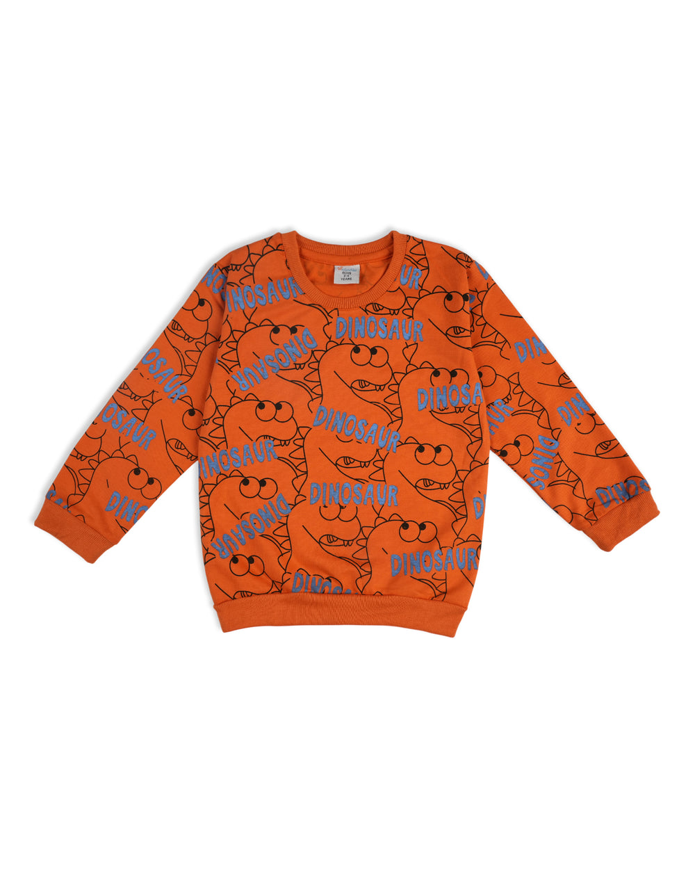 Valuables Boys Sweatshirt, Boys Hoodies & Sweat Shirts, Chase Value, Chase Value