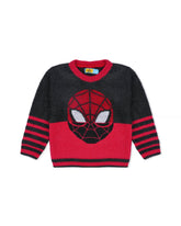Eminent Boys Sweater, Boys Sweaters, Eminent, Chase Value