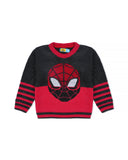 Eminent Boys Sweater, Boys Sweaters, Eminent, Chase Value