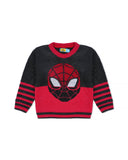 Eminent Boys Sweater, Boys Sweaters, Eminent, Chase Value