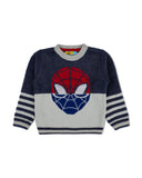 Eminent Boys Sweater, Boys Sweaters, Eminent, Chase Value