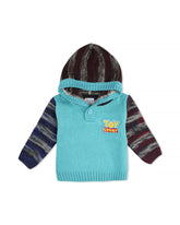 Valuables Newborn Boys Hooded Sweater, Newborn Boys Hoodies & Sweatshirts, Chase Value, Chase Value