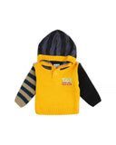 Valuables Newborn Boys Hooded Sweater, Newborn Boys Hoodies & Sweatshirts, Chase Value, Chase Value