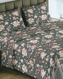 Printed Double Bed Sheet