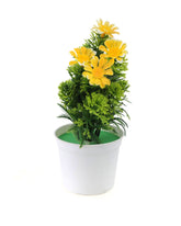 Flower Pot, Decoration, Chase Value, Chase Value