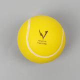 Master Your Game - Airless Tennis Ball, Sports, Chase Value, Chase Value
