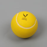Master Your Game - Airless Tennis Ball, Sports, Chase Value, Chase Value