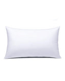 Valuables Micro Ball Fibre Pillow 19 x 27