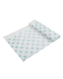 Disposable Dastarkhawan