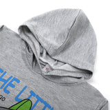 Boys Full Sleeves Hoodie - Grey, Boys Hoodies & Sweat Shirts, Chase Value, Chase Value