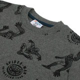 Boys Full Sleeves SweatShirt - Grey, Boys Hoodies & Sweat Shirts, Chase Value, Chase Value