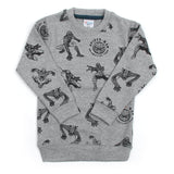 Boys Full Sleeves SweatShirt - Light Grey, Boys Hoodies & Sweat Shirts, Chase Value, Chase Value