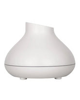 Whole House Bypass Humidifier