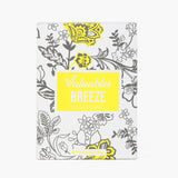 Valuables Perfume For Women 100ml - Breeze, Women Perfumes, Chase Value, Chase Value