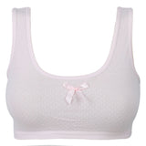 Women's Biddies - Pink, Women Bras, Chase Value, Chase Value