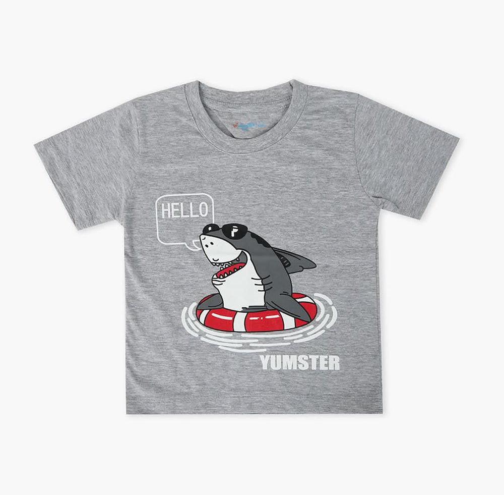 Boys Half Sleeves T-Shirt - Grey, Boys T-Shirts, Chase Value, Chase Value