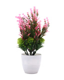 Flower Pot, Decoration, Chase Value, Chase Value