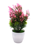 Flower Pot, Decoration, Chase Value, Chase Value