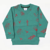 Boys Full Sleeves SweatShirt - Flag Green, Boys Hoodies & Sweat Shirts, Chase Value, Chase Value