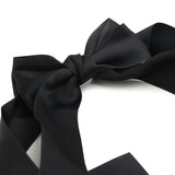 Hair Clip Long Strip, Girls Hair Accessories, Chase Value, Chase Value