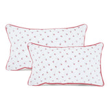 Pillow Cover Pack of 2 - Multi Color, Cushions & Pillows, Chase Value, Chase Value