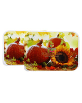 Storage Box Set- 2 Pcs Set