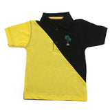 Boys Half Sleeves Polo T-Shirt, Boys T-Shirts, Chase Value, Chase Value