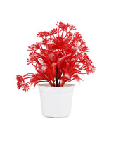 Flower Pot, Decoration, Chase Value, Chase Value