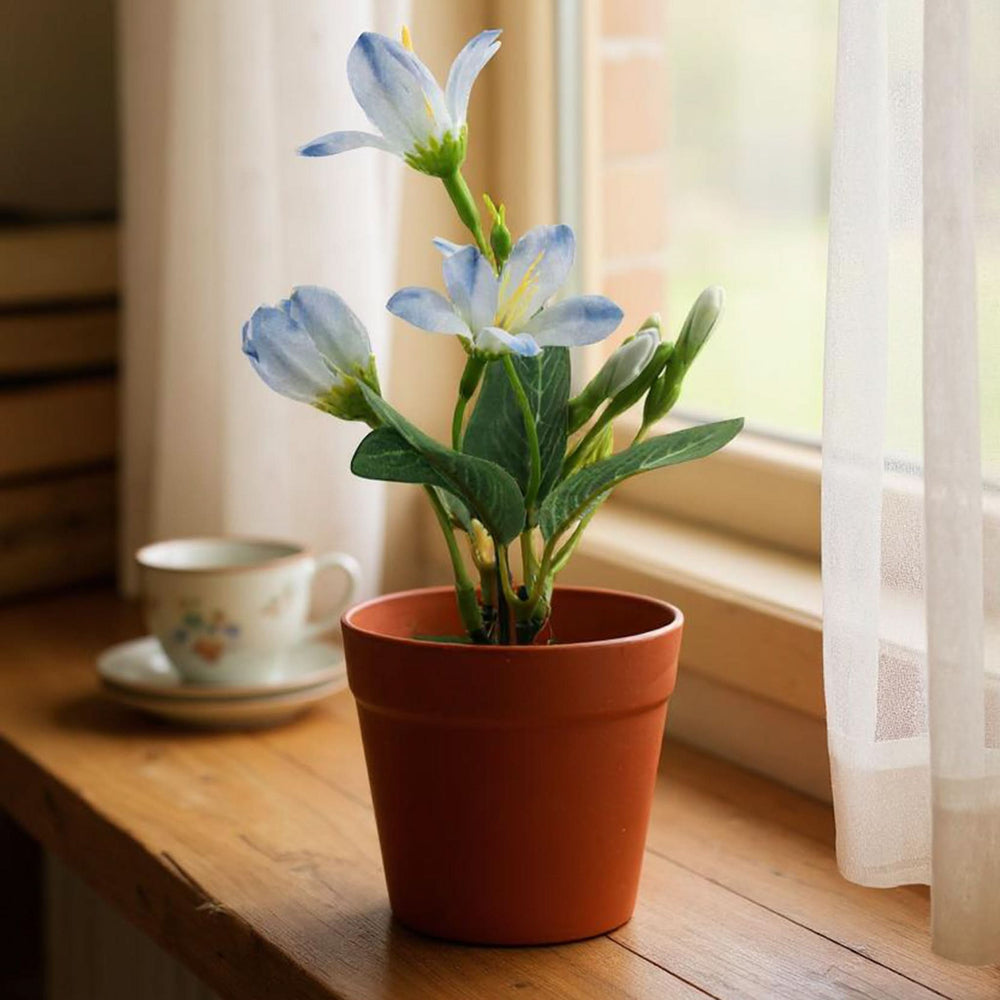 Flower Pot, Decoration, Chase Value, Chase Value