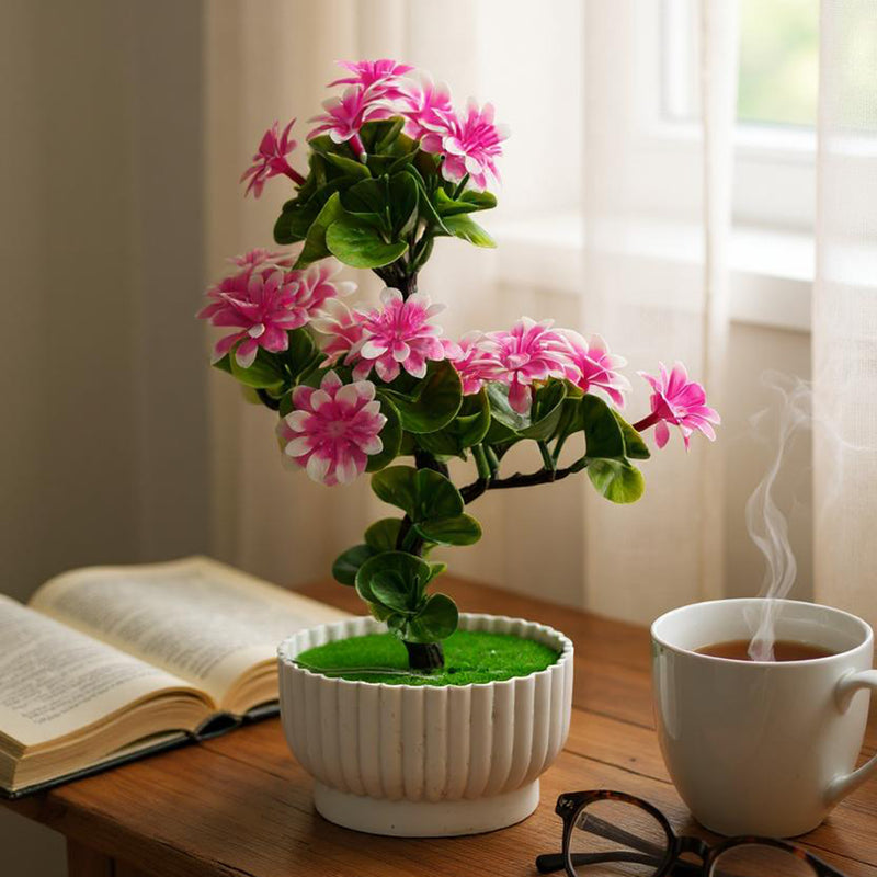 Flower Pot, Decoration, Chase Value, Chase Value