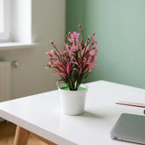 Flower Pot, Decoration, Chase Value, Chase Value