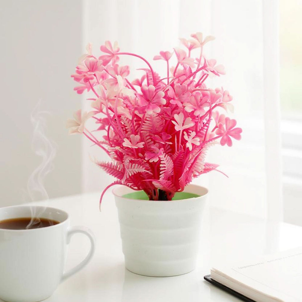 Flower Pot, Decoration, Chase Value, Chase Value