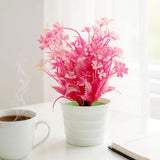 Flower Pot, Decoration, Chase Value, Chase Value