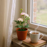Flower Pot, Decoration, Chase Value, Chase Value