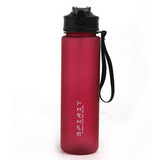 Water Bottle 750ml - Dark Pink, Glassware & Drinkware, Chase Value, Chase Value
