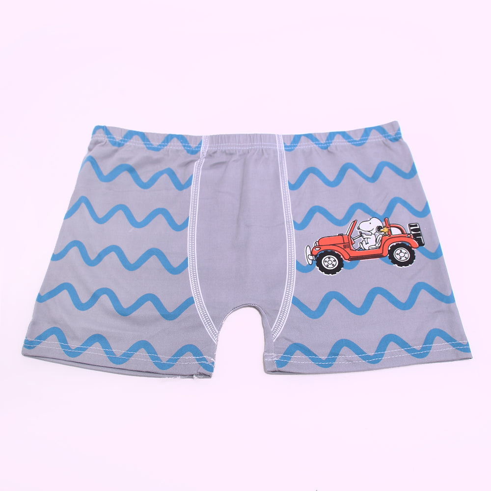 Boys Charatcter Boxer, Boys Underwear, Chase Value, Chase Value