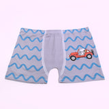 Boys Charatcter Boxer, Boys Underwear, Chase Value, Chase Value