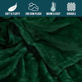 Mansion Solid Flannel Single Compact Throw - Green, Blanket, Chase Value, Chase Value