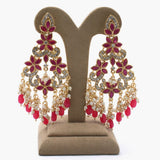 Women's Fancy Earing - Pink, Women Earrings & Tops, Chase Value, Chase Value