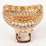 Women's Fancy Catcher - Golden, Women Hair & Head Jewellery, Chase Value, Chase Value