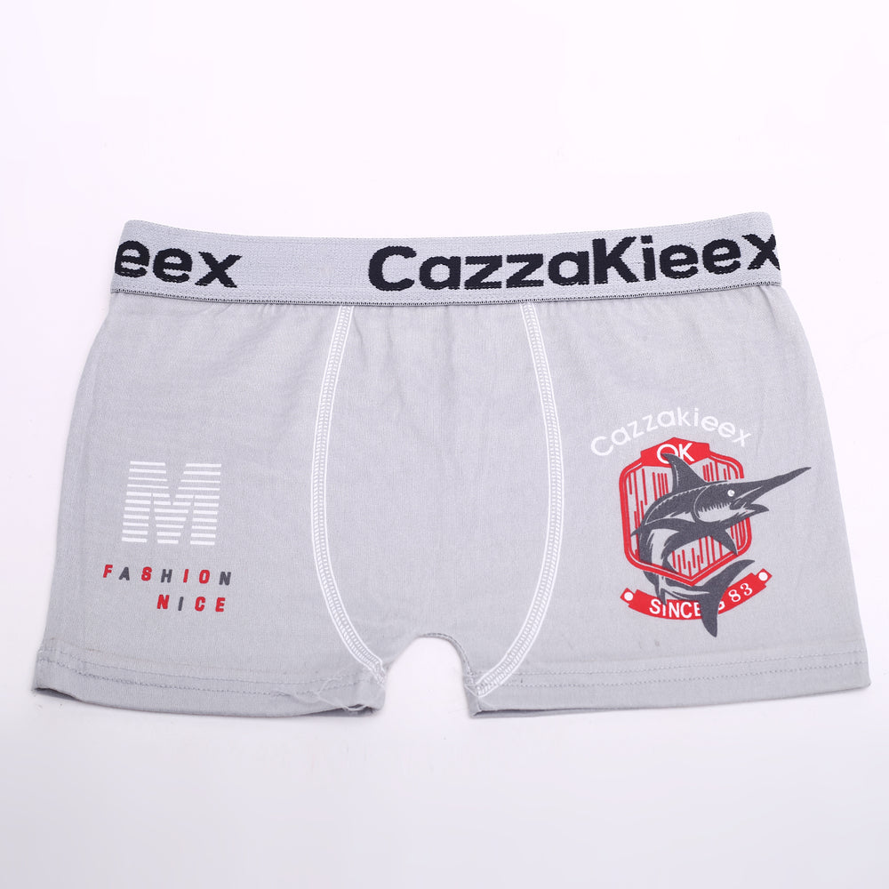 Boys Charatcter Boxer, Boys Underwear, Chase Value, Chase Value