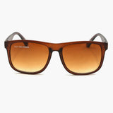 Unisex Sunglasses - Brown, Men's Sunglasses, Chase Value, Chase Value