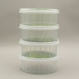 Sweety Box 4 Pcs - White, Storage Boxes, Chase Value, Chase Value