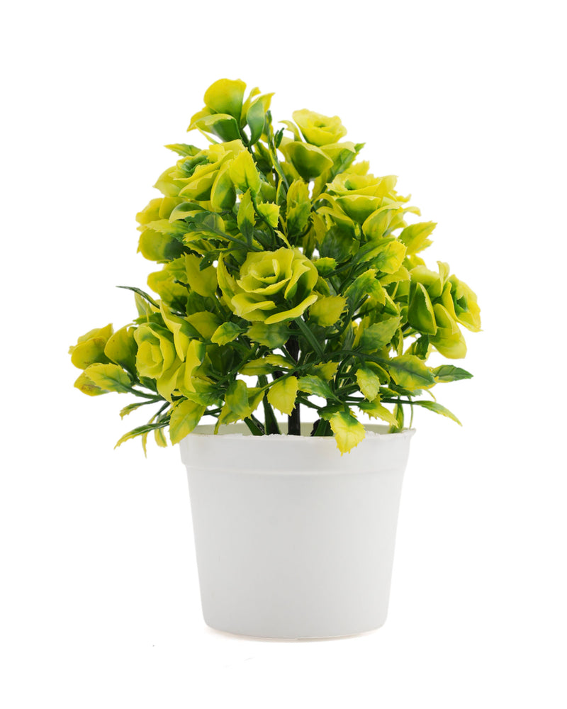 Decorative Flower Pot, Decoration, Chase Value, Chase Value