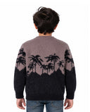 Boys Sweater, Boys Sweaters, Chase Value, Chase Value