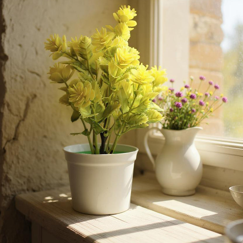 Flower Pot, Decoration, Chase Value, Chase Value