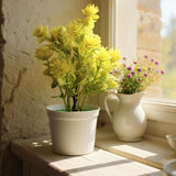 Flower Pot, Decoration, Chase Value, Chase Value