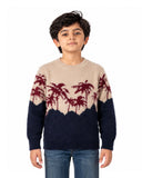 Boys Sweater, Boys Sweaters, Chase Value, Chase Value
