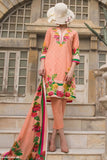 VS Printed Classic Cambric Cotton Suit-310B - test-store-for-chase-value