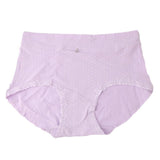 Women's Panty - Light Purple - test-store-for-chase-value